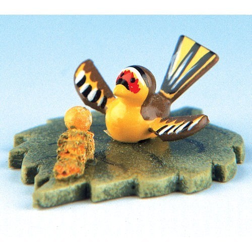 Hubrig Minis Auf Futtersuche